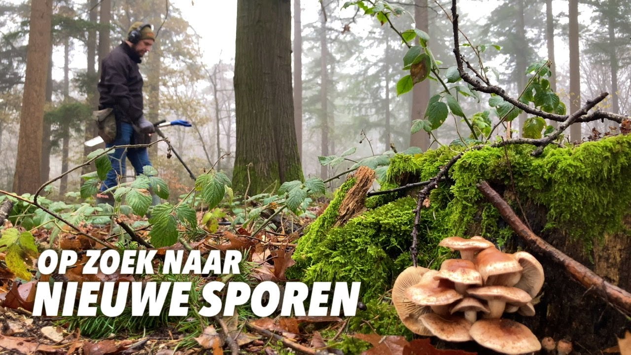 Op zoek naar nieuwe sporen | Metaaldetectie op een landgoed | 8 december 2023