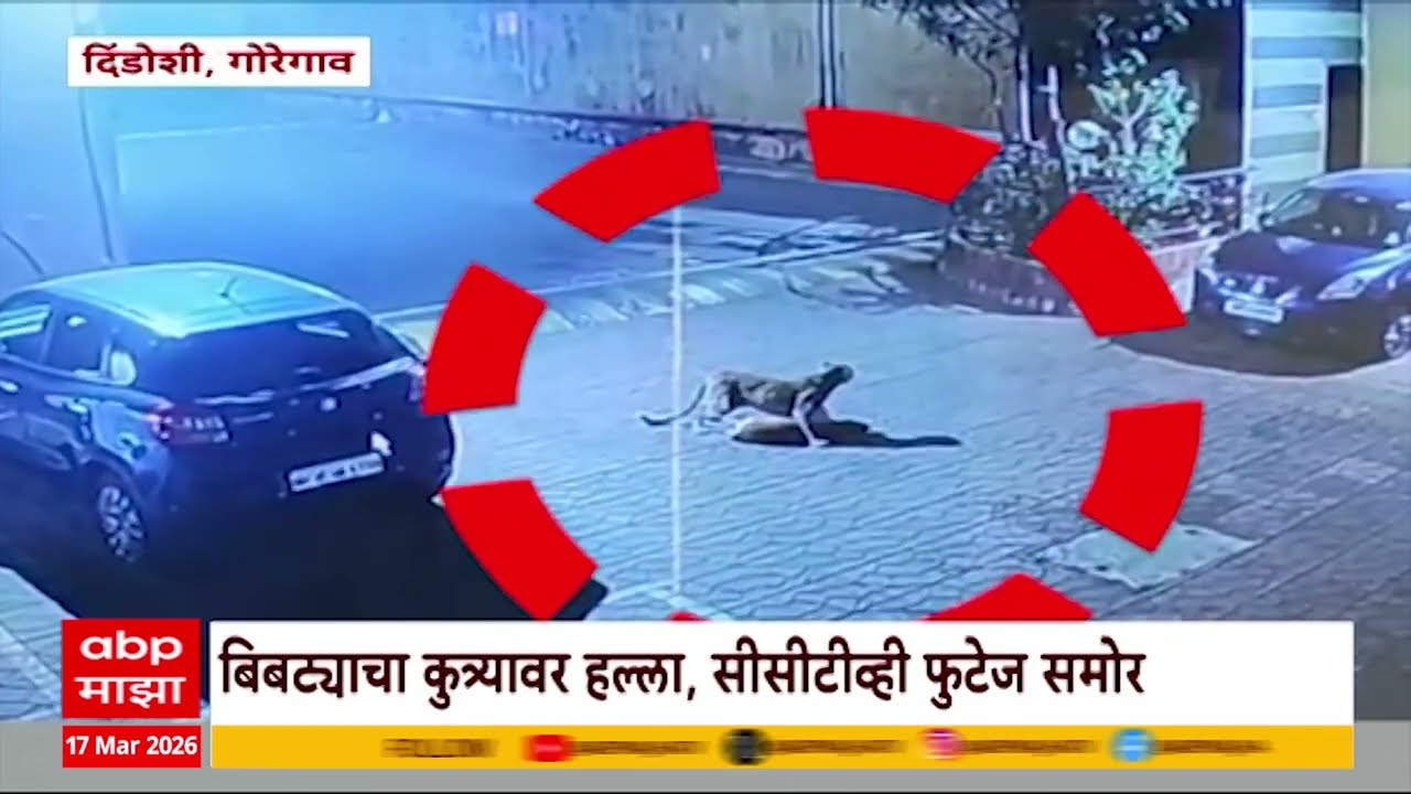 Dindoshi Goregaon | मुंबईच्या गोरेगाव-दिडोंशी परिसरात बिबट्याचा वावर