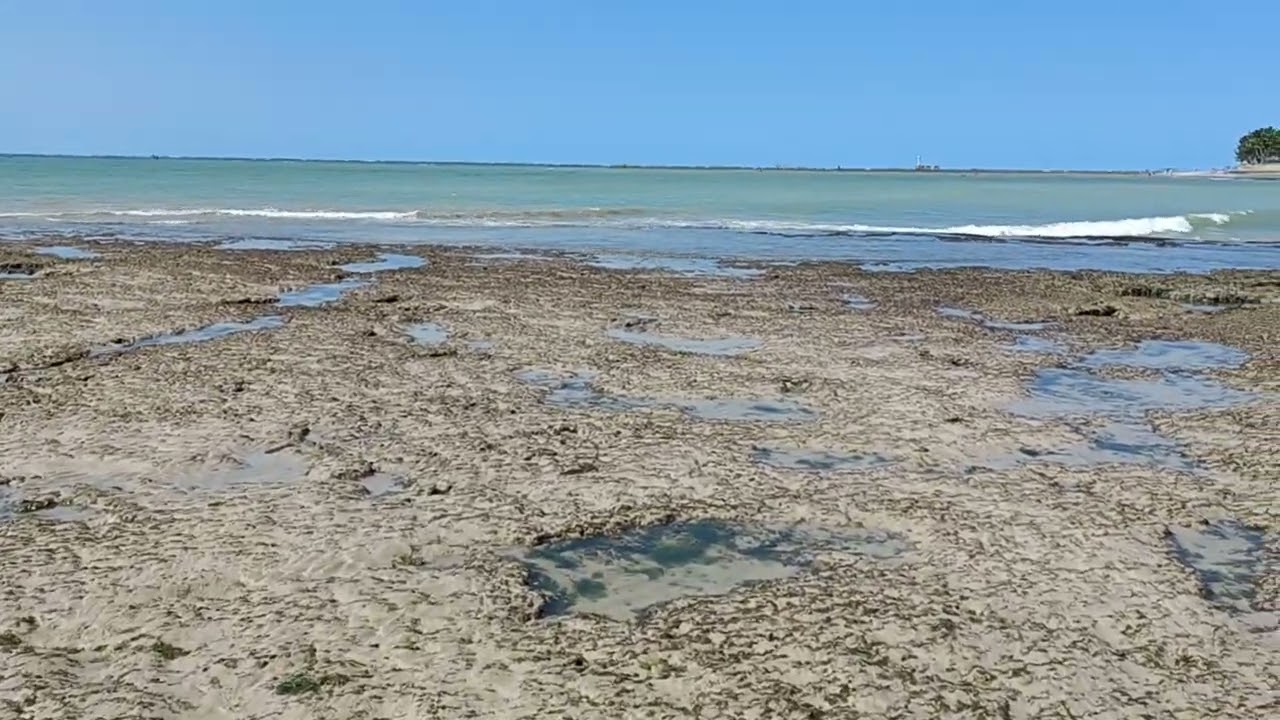 Maré baixa. Praia de Ponta Verde Maceió
