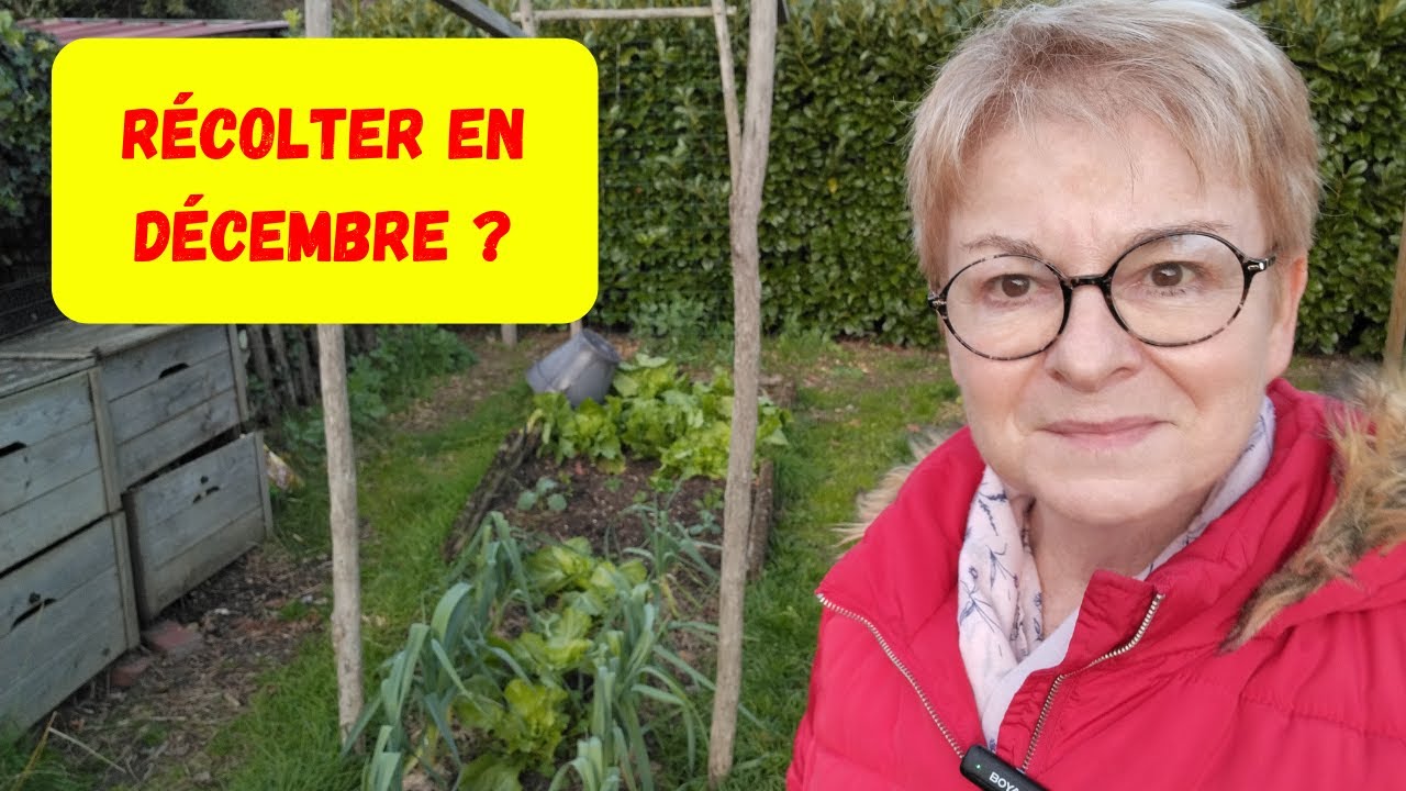 100 KILOS DE LEGUMES DANS MON PETIT POTAGER!