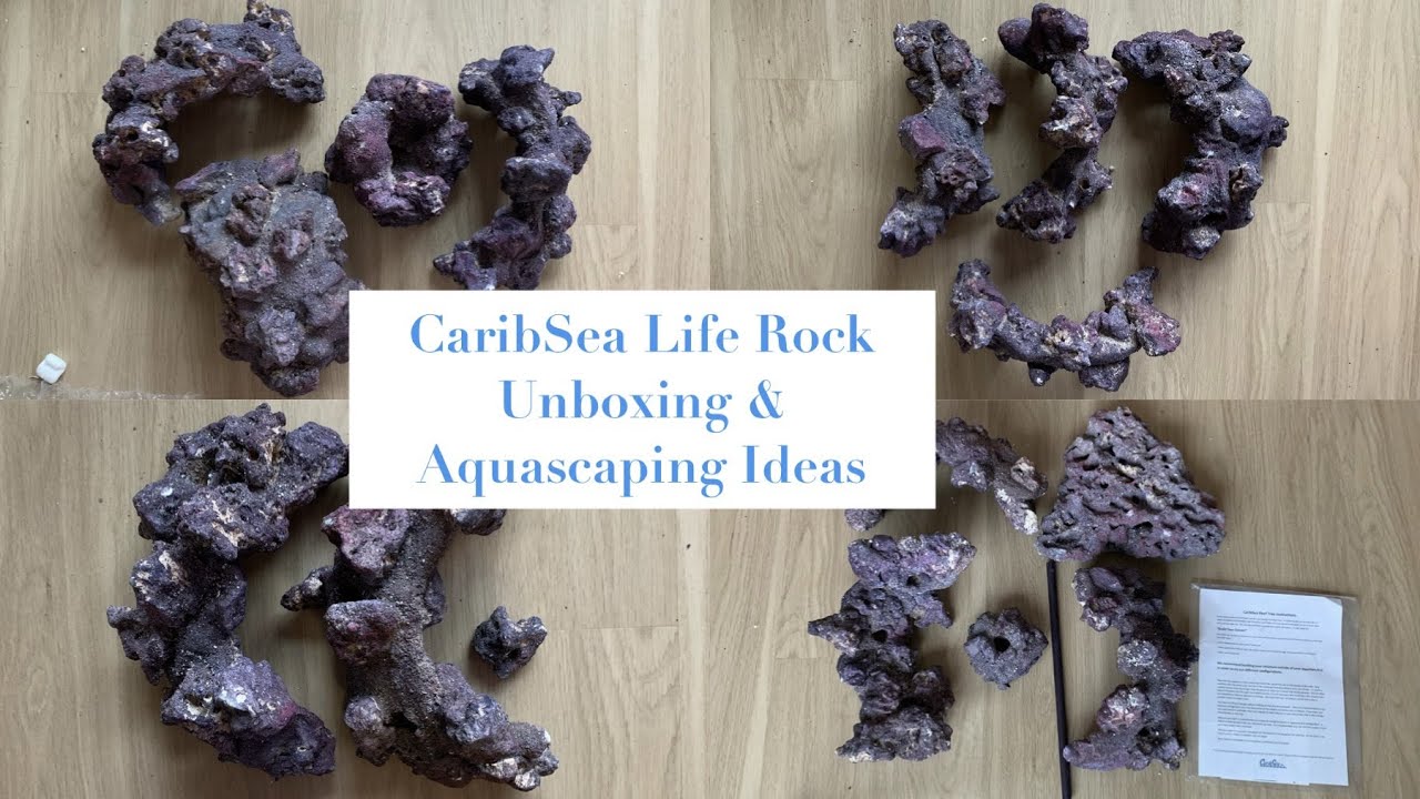 Распаковка камней CaribSea Life и идеи для акваскейпинга.