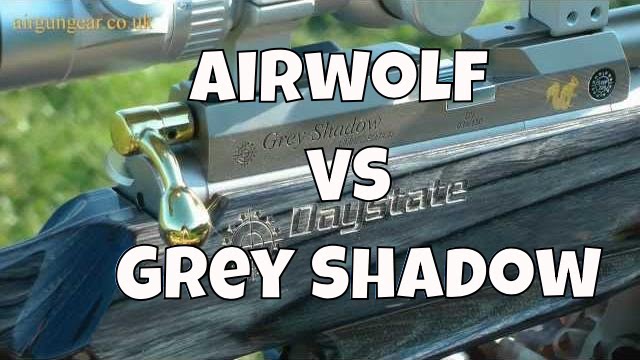 SHOOTOUT: Daystate Grey Shadow Vs Daystate Airwolf MCT - Air Rifle Test