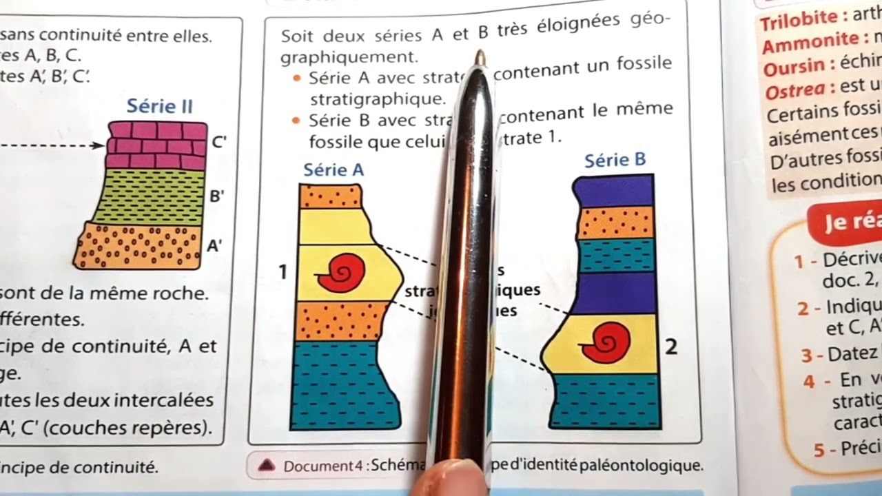&Eacute;chelle stratigraphique : 1AC Chap3 S&eacute;q2 🌿