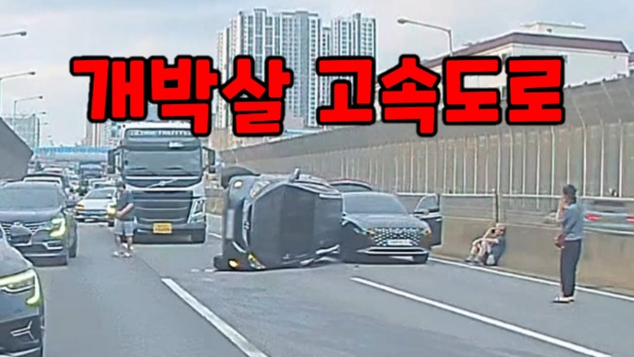 도참시 블랙박스 :대환장 고속도로.... 2025 최신블박영상