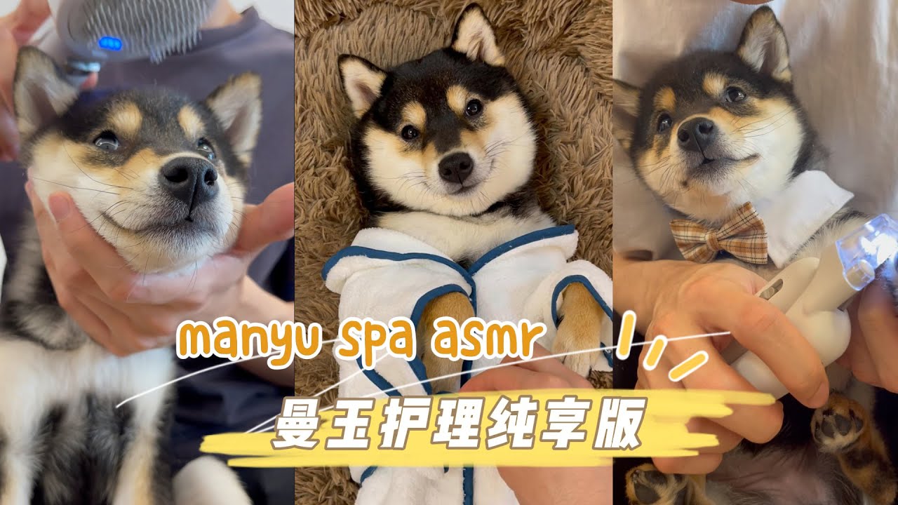 【10 минут чистого ASMR】Иммерсивный СПА-уход за телом от Manyu
