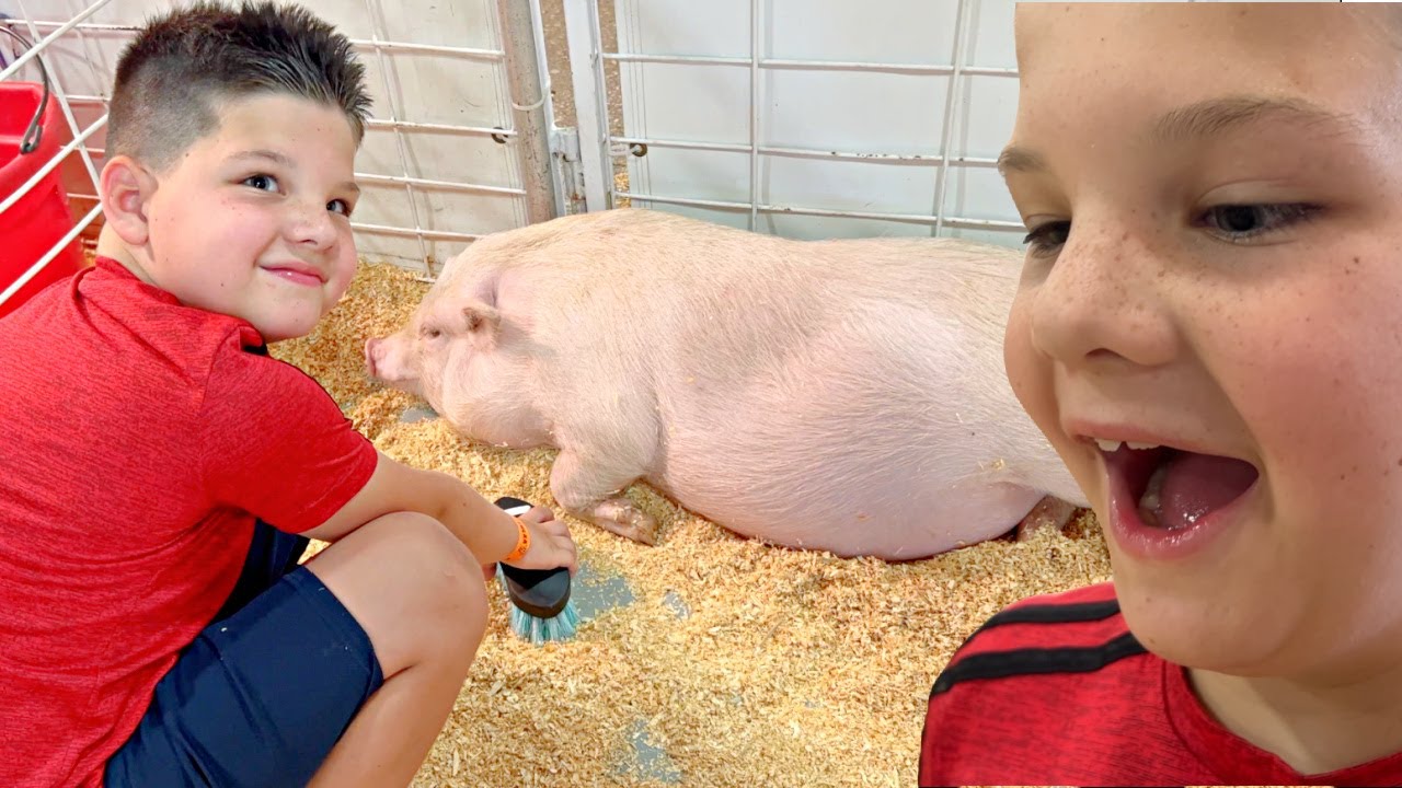 BEST PETTING ZOO! Caleb Learns to to Feed and Take Care of Farm Animals with Mom & Dad