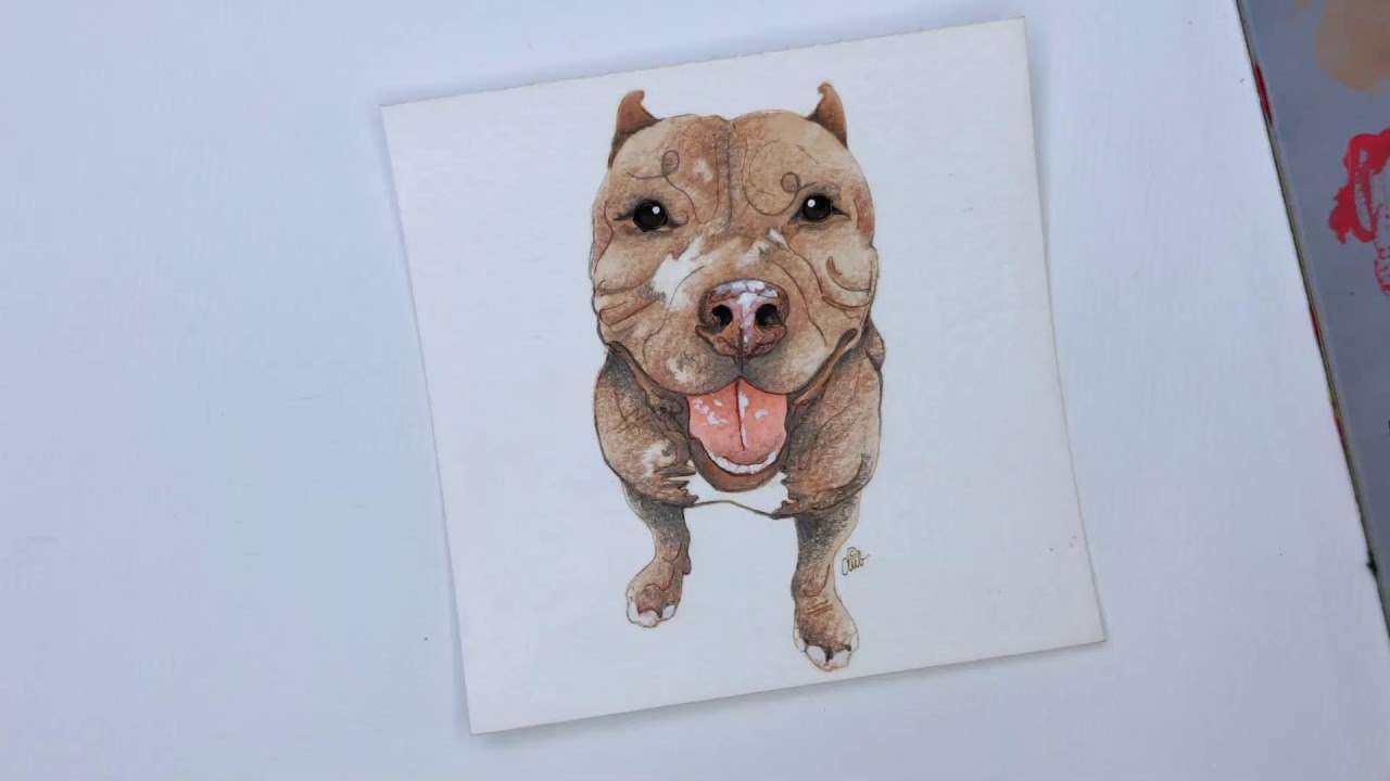 Pups & Portraits Dog - Paint & Pencil with Me!