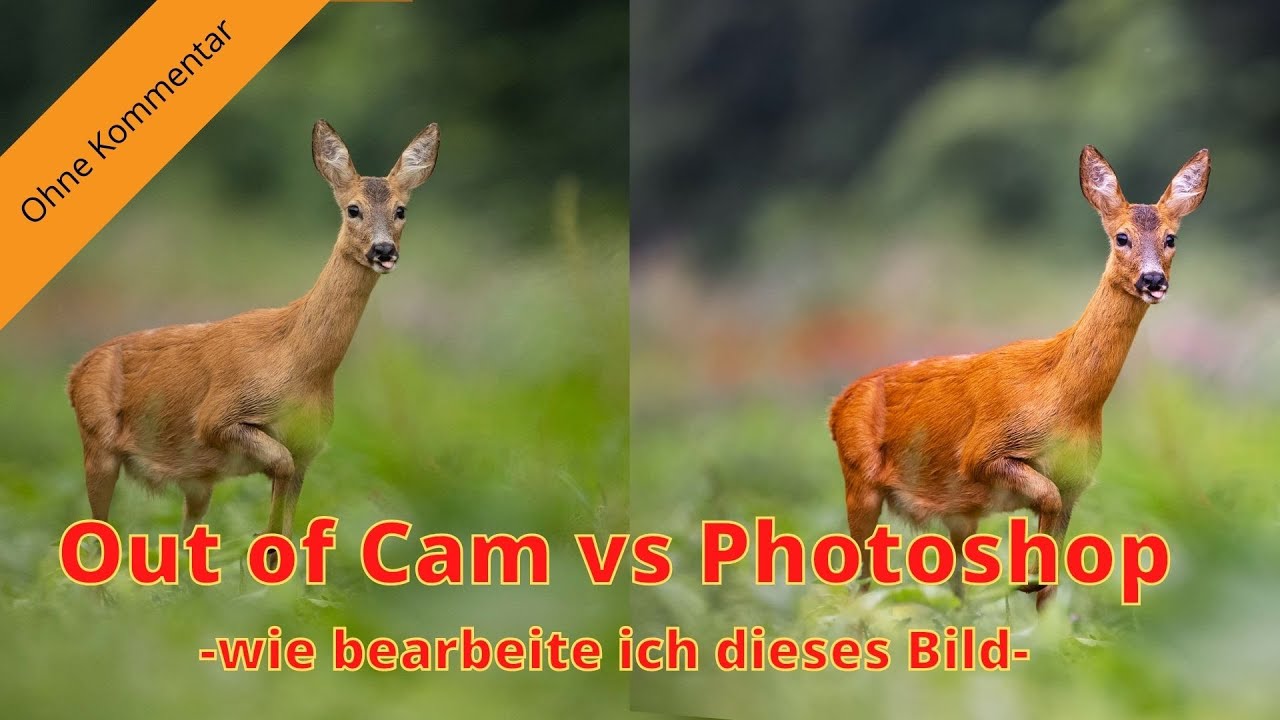 Out of Cam vs. Photoshop - wie bearbeite ich dieses Bild-