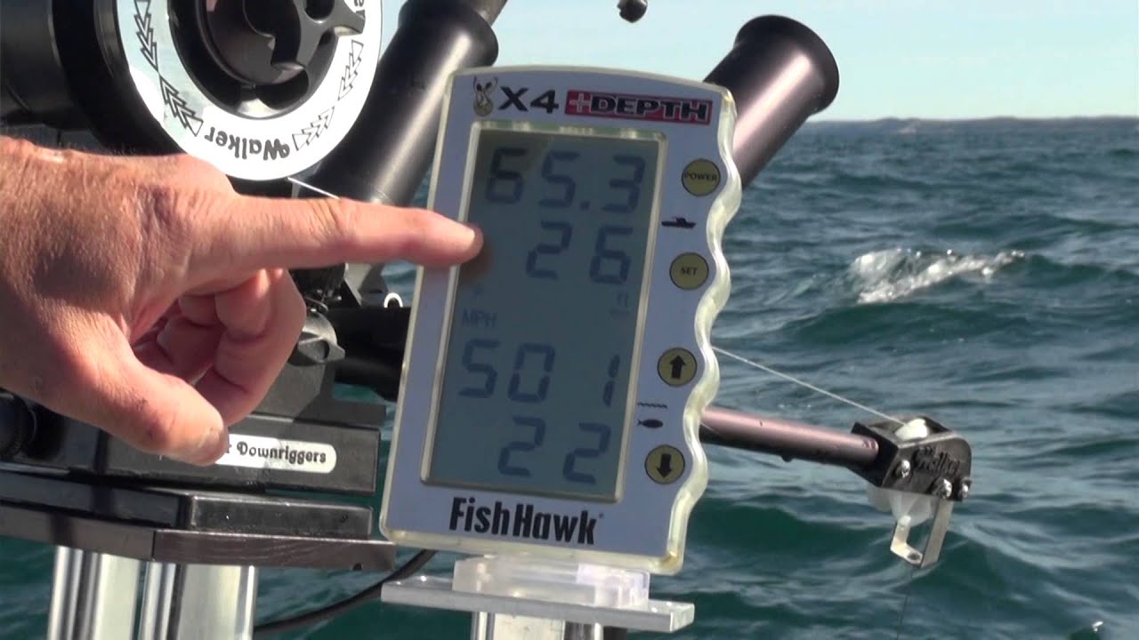 Interpreting the Fish Hawk