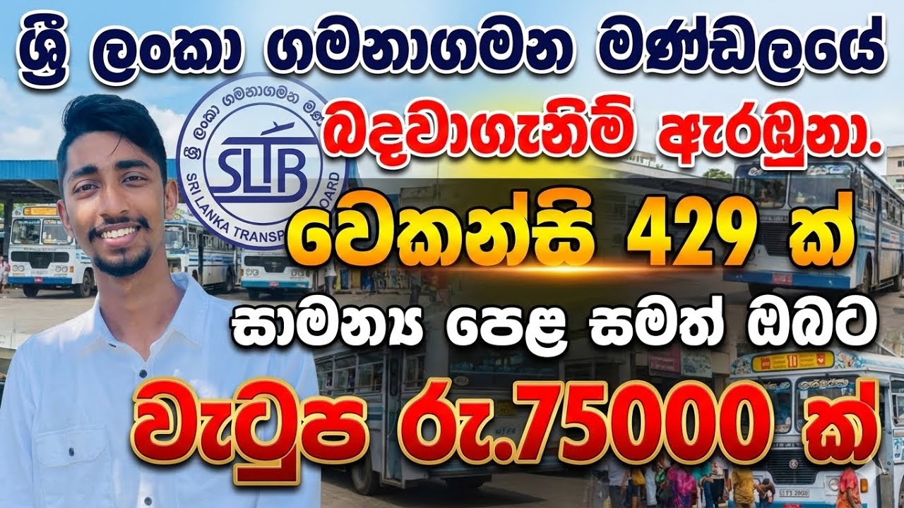 ශ්‍රී ලංකා ගමනාගමන මණ්ඩලයේ බදවාගැනිම් ඇරඹුනා | රු.75000 ක වැටුපක් | Government job vacancies 2026￼