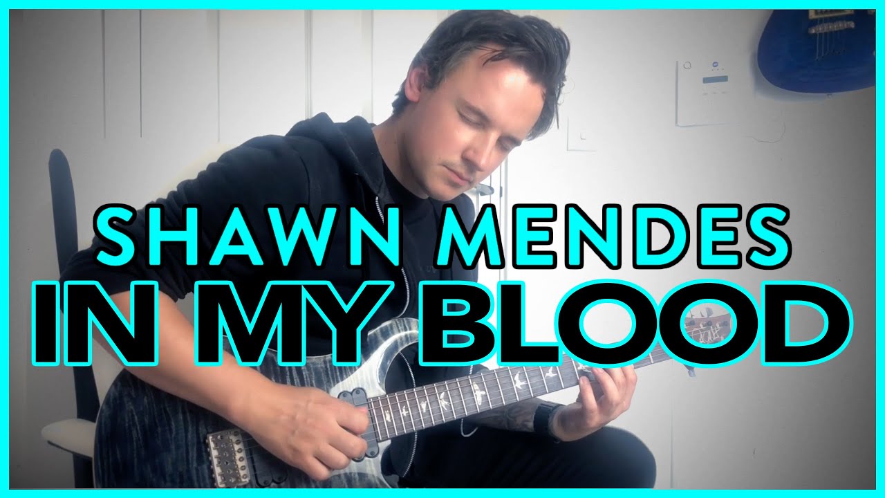 Shawn Mendes - In My Blood - Guitar Cover