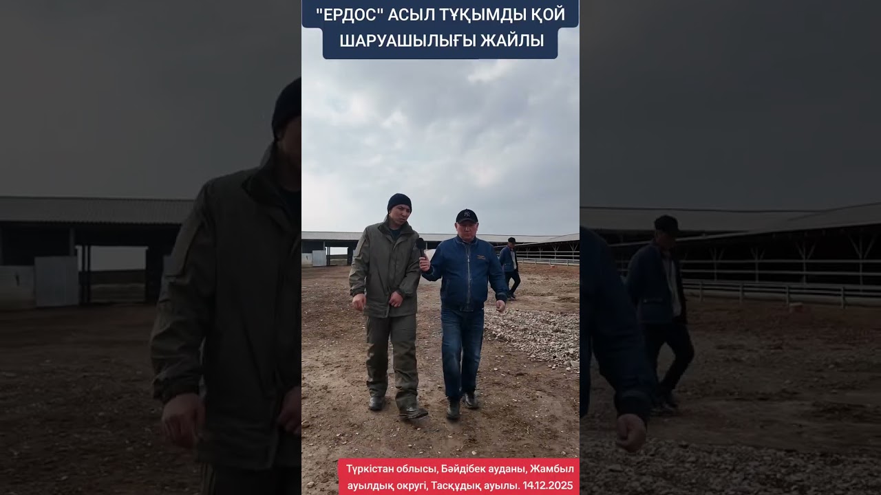 ЕРДОС АСЫЛ ТҰҚЫМДЫ ҚОЙ ШАРУАШЫЛЫҒЫ ЖАЙЛЫ
