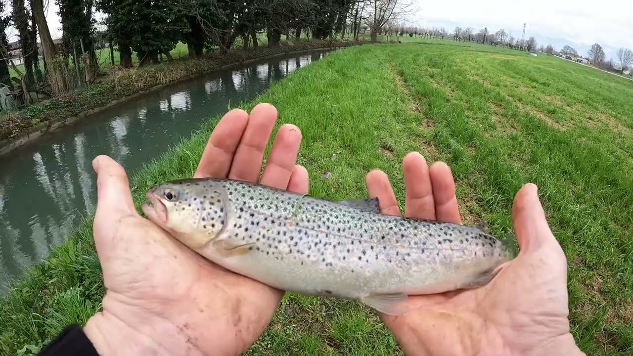 La mia apertura pesca trota 2024 || 4K