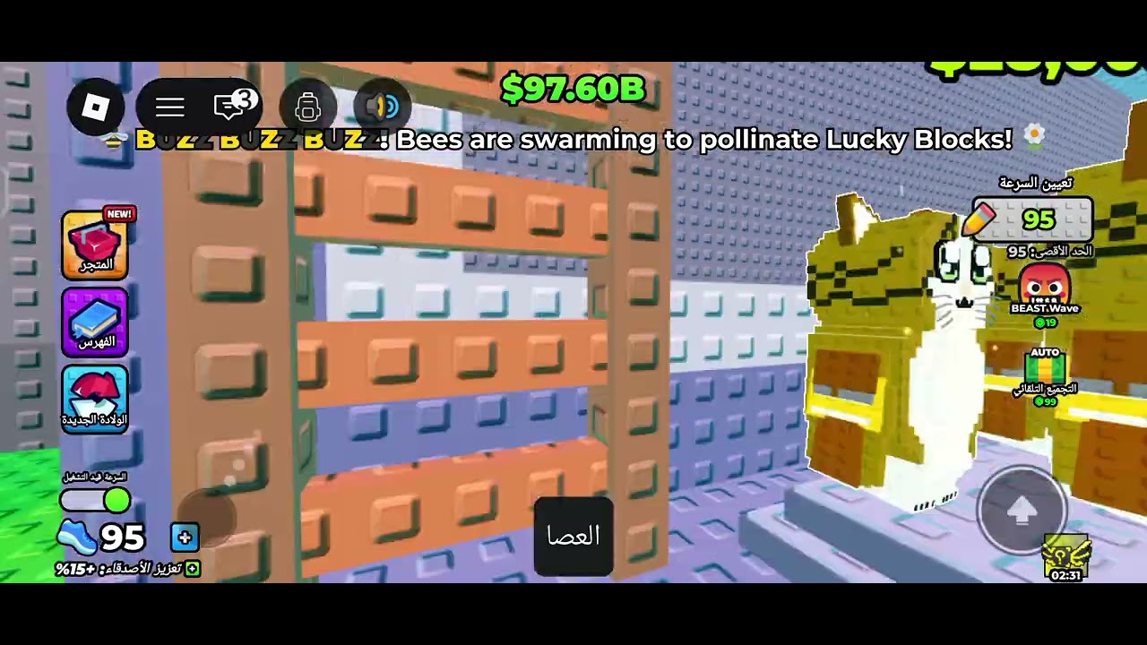 ٣١ يناير ٢٠٢٦