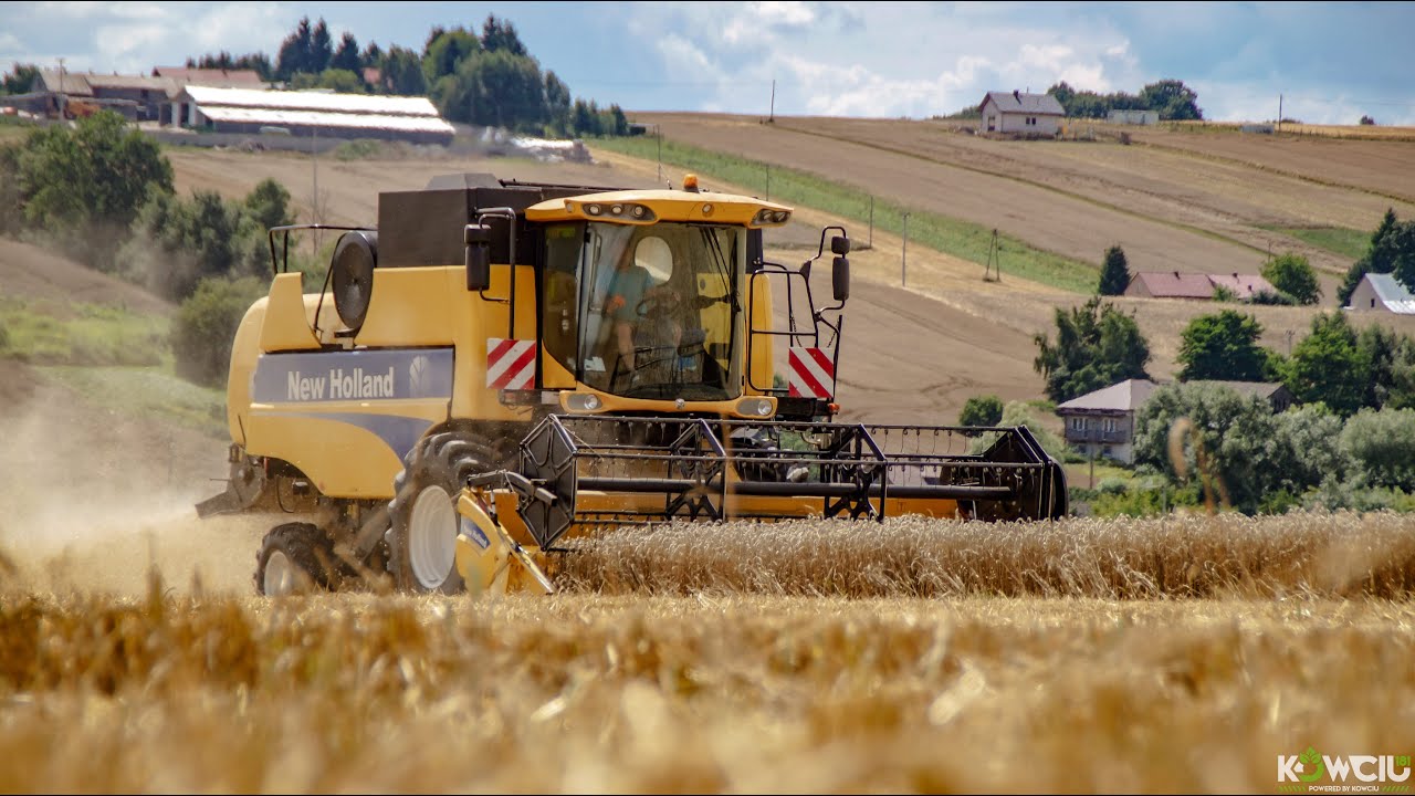 Żniwa Pszenicy w GR Herej 2023 I New Holland CSX 7040 I Massey Ferguson 6480 I Metaltech DB12