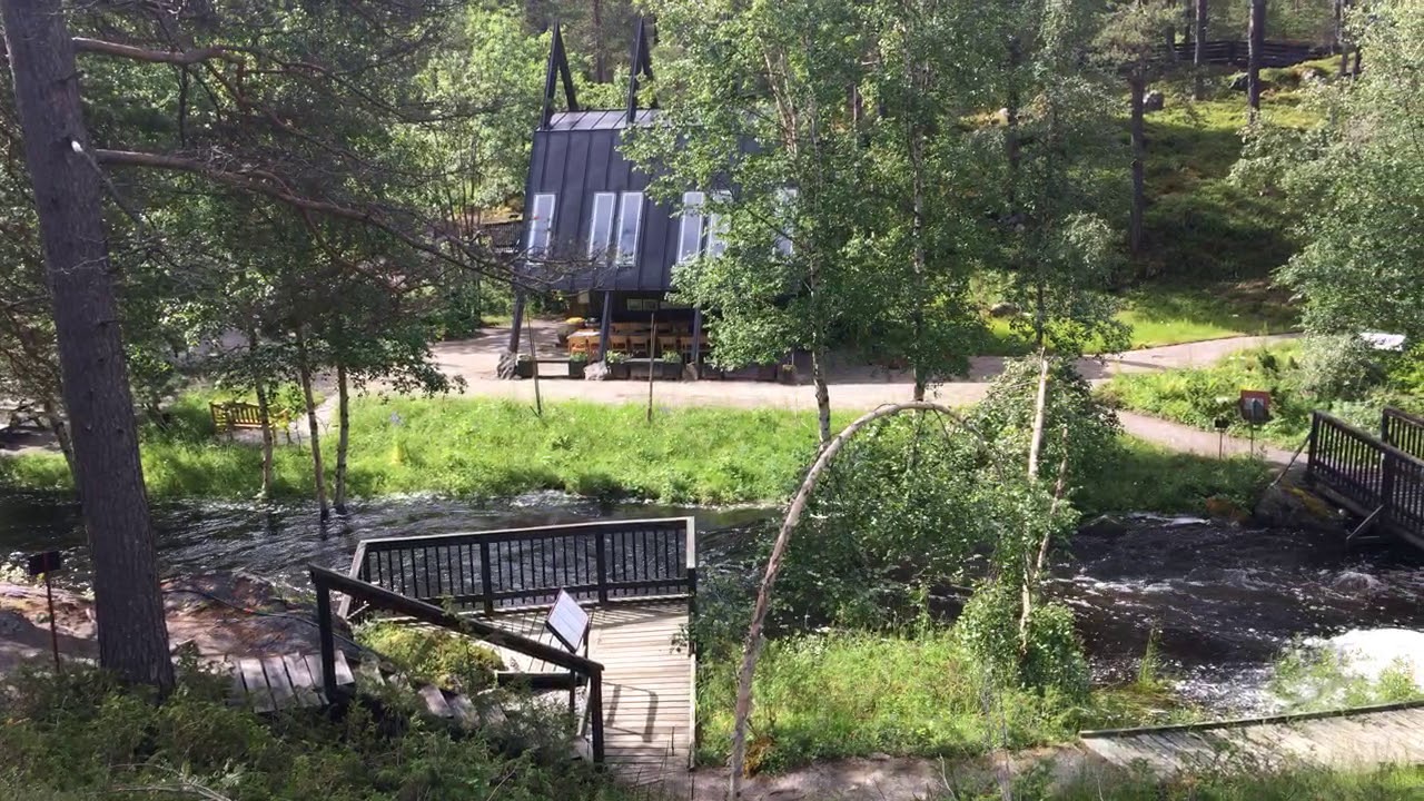 Rundvandring i Fjällbotaniska trädgården – en del av Ájtte i Jokkmokk.