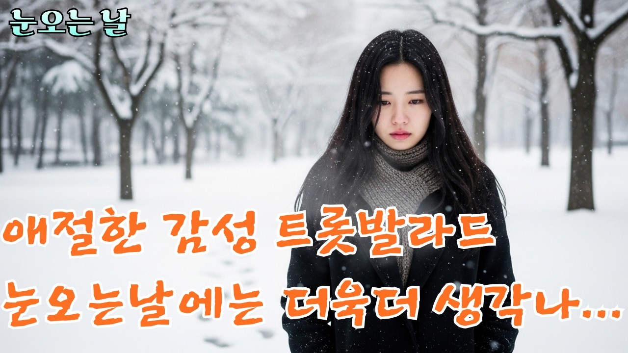 눈오는 날 [감성 애절한 트롯발라드]