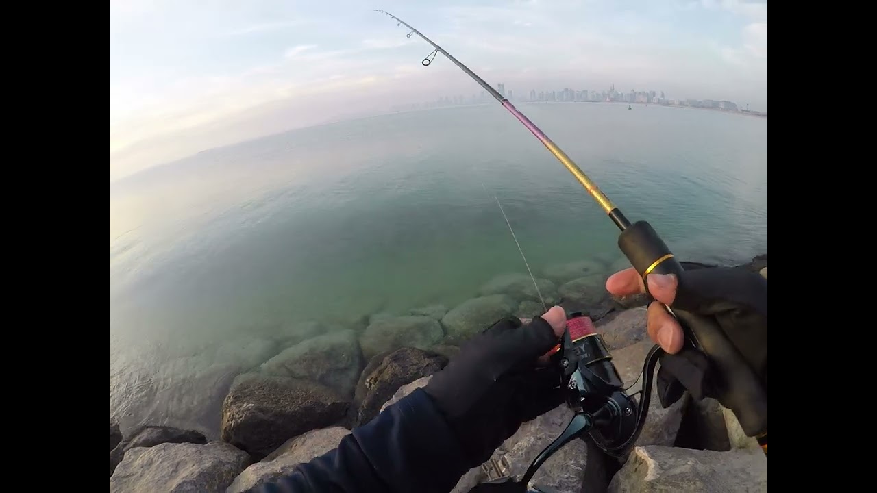 Basic is still the best for fishing (Bait and Wait)