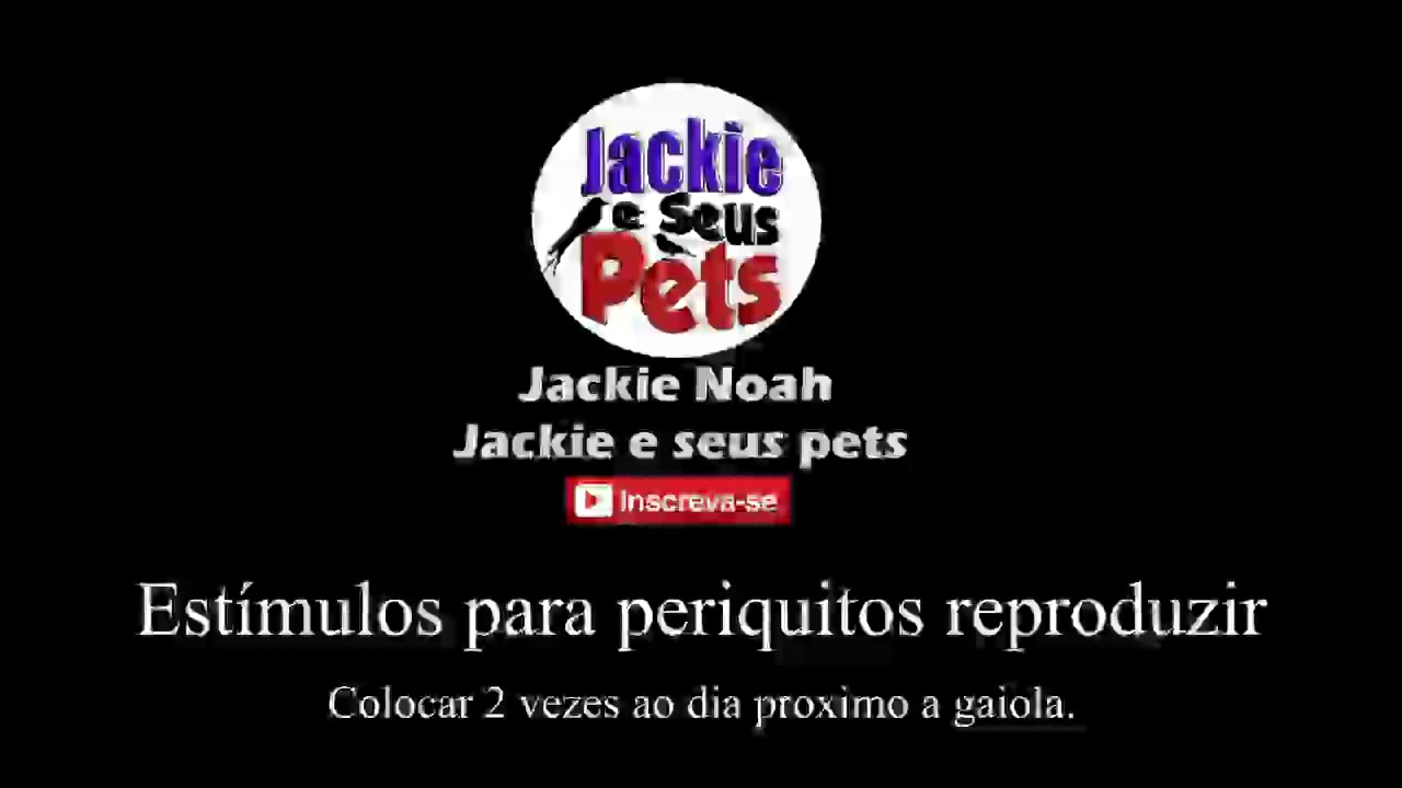 Estímulos para reproduzir periquitos mais rápido - 2018 (30 minutos)