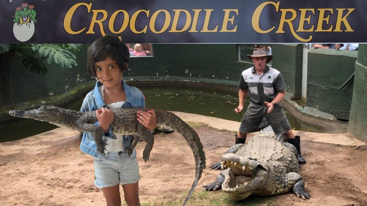 Sasha Learn About Crocodile And Enjoy to Explore Crocodile Creek||Kids Fun Story