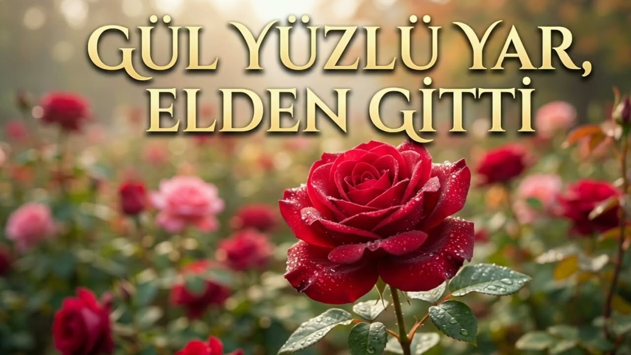 Gül yüzlü yar  elden gitti