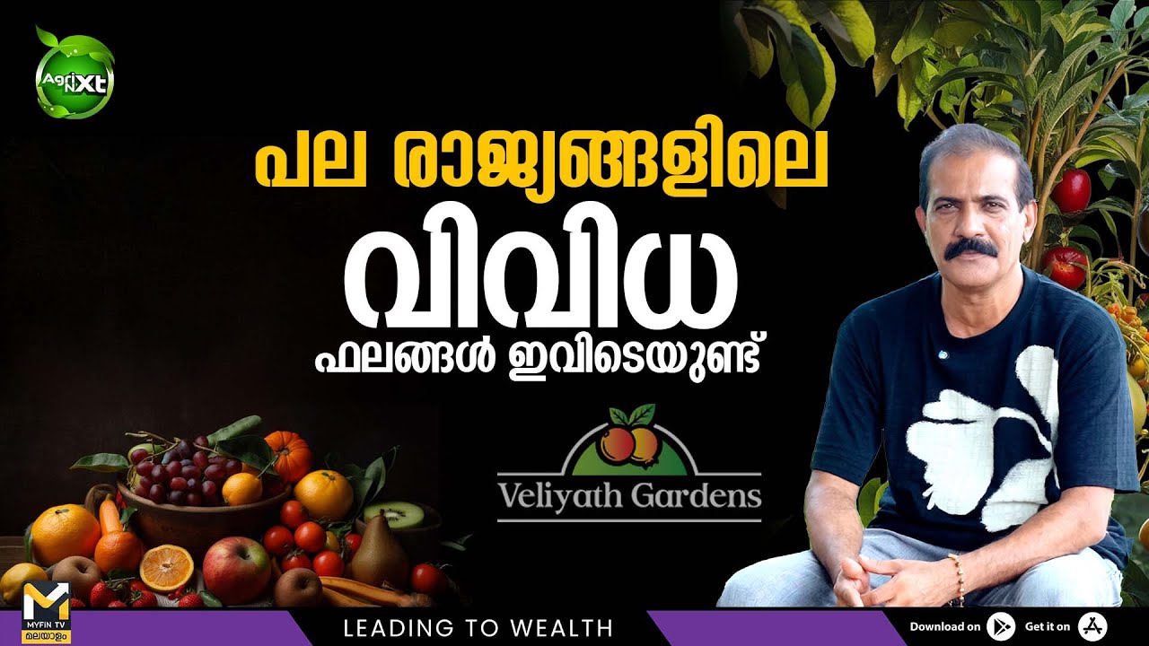 പല രാജ്യങ്ങളിലെ വിവിധ ഫലങ്ങൾ ഇവിടെയുണ്ട് : A Journey Through Exotic Tropical Fruit Plants