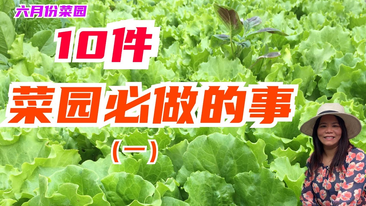 10件菜园必做的事，种菜人一定要知道。（Part-1)