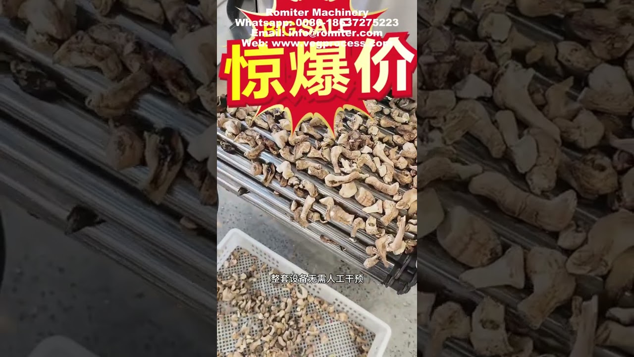 Automatic Mushroom Torreya Grandis Peeling Machine