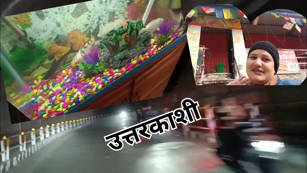 उत्तरकाशी से डुंडा तक का सफर ll Bhumi official 99 vlogs //pahadi lifestyle vlog//Uttrakhand vlog/