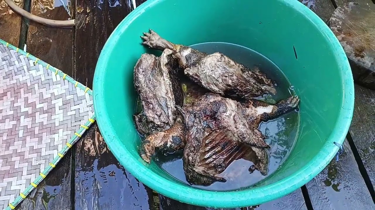 Ngintu Jelu Landak