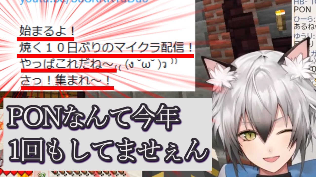 【猫瀬乃しん/切り抜き】今年1回もPONをしていないと本気で思っていたPON様【のりプロゲーマーズ】