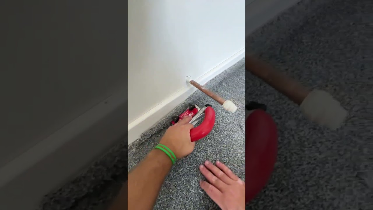 Независимо от толщины ковра, триммер для ковров ROBERTS вам поможет. @DORSET_DAGGER