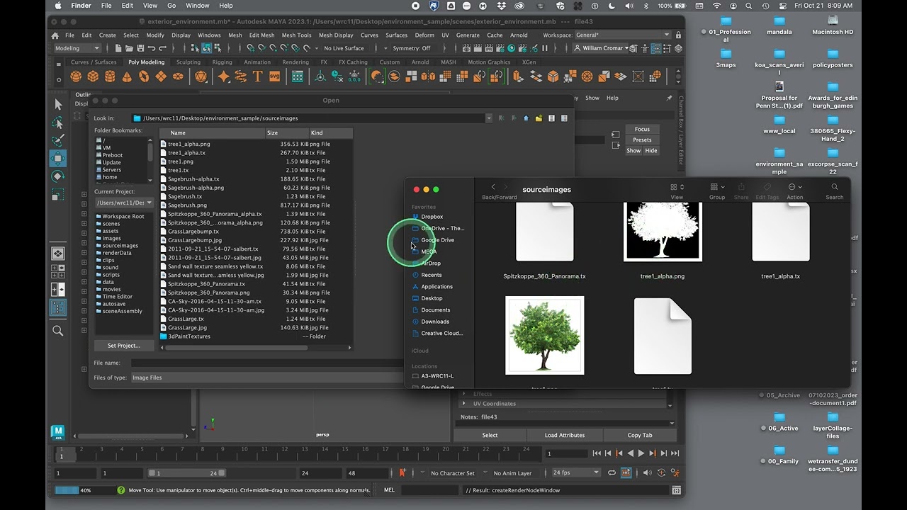 NEW 2022 Arnold standard shader with alpha workflow