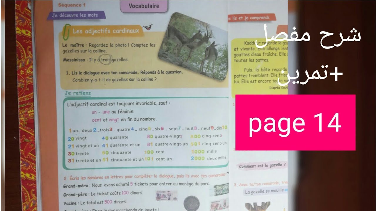 les adjectifs cardinaux/page 14 /5ap