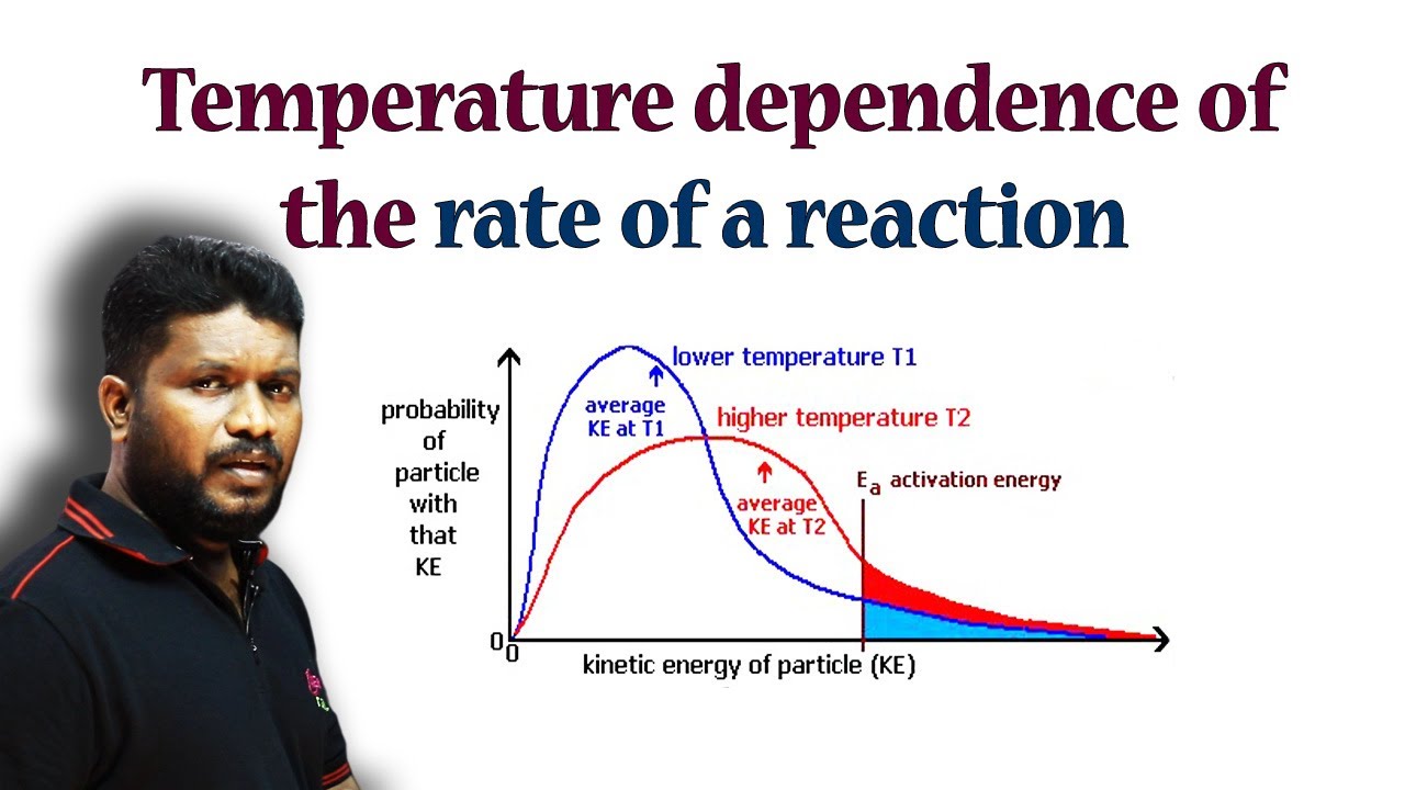 12.Temperature Dependence of the Rate of a Reaction | CBSE Class 12 Chemistry