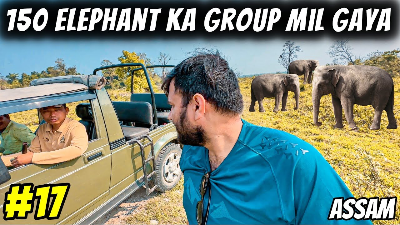 JUNGLE Me 150 HATHI Ka Group Mil GAYA😱😱|Ep#17