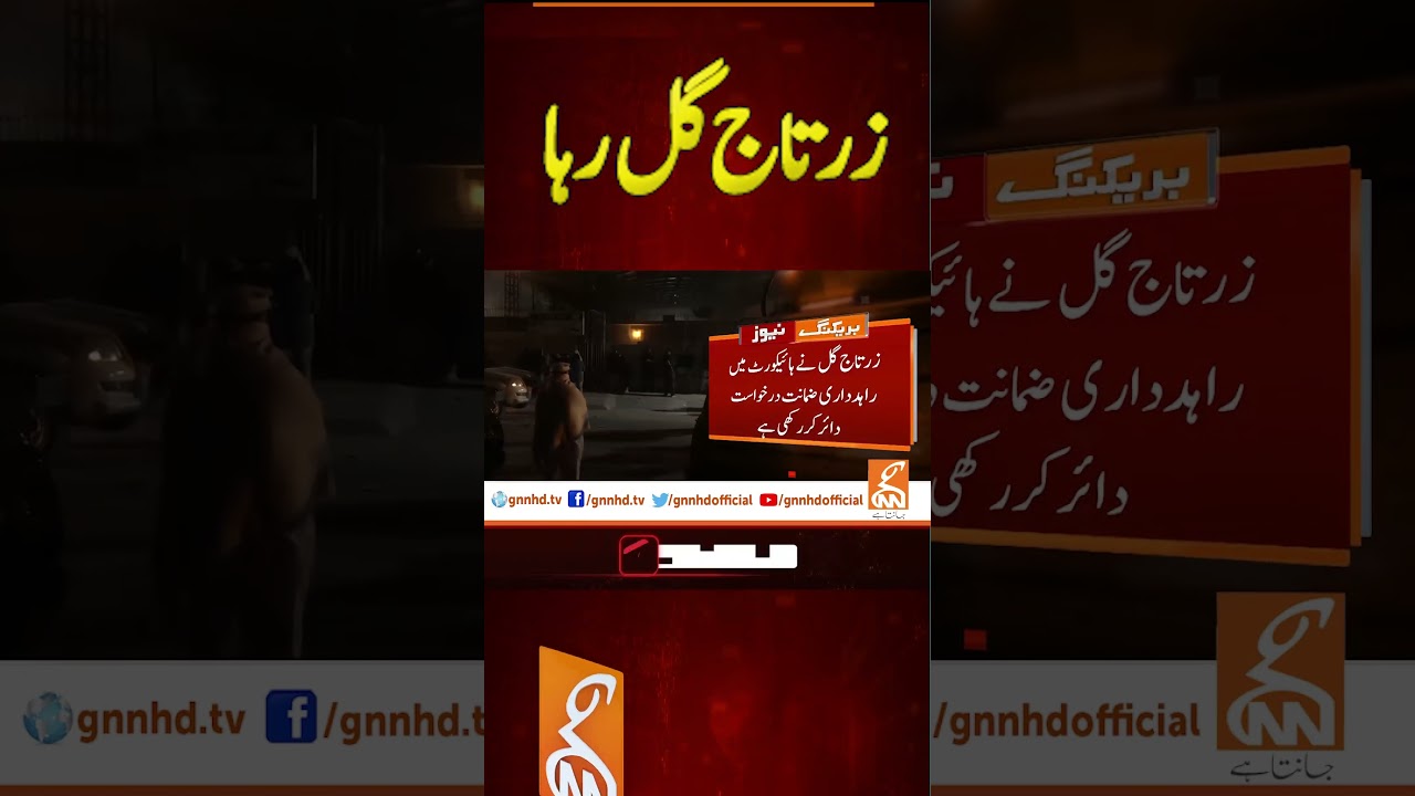 زرتاج گل رہا #breakingnews #gnnnewslive #gnn #latest #breaking #update #news