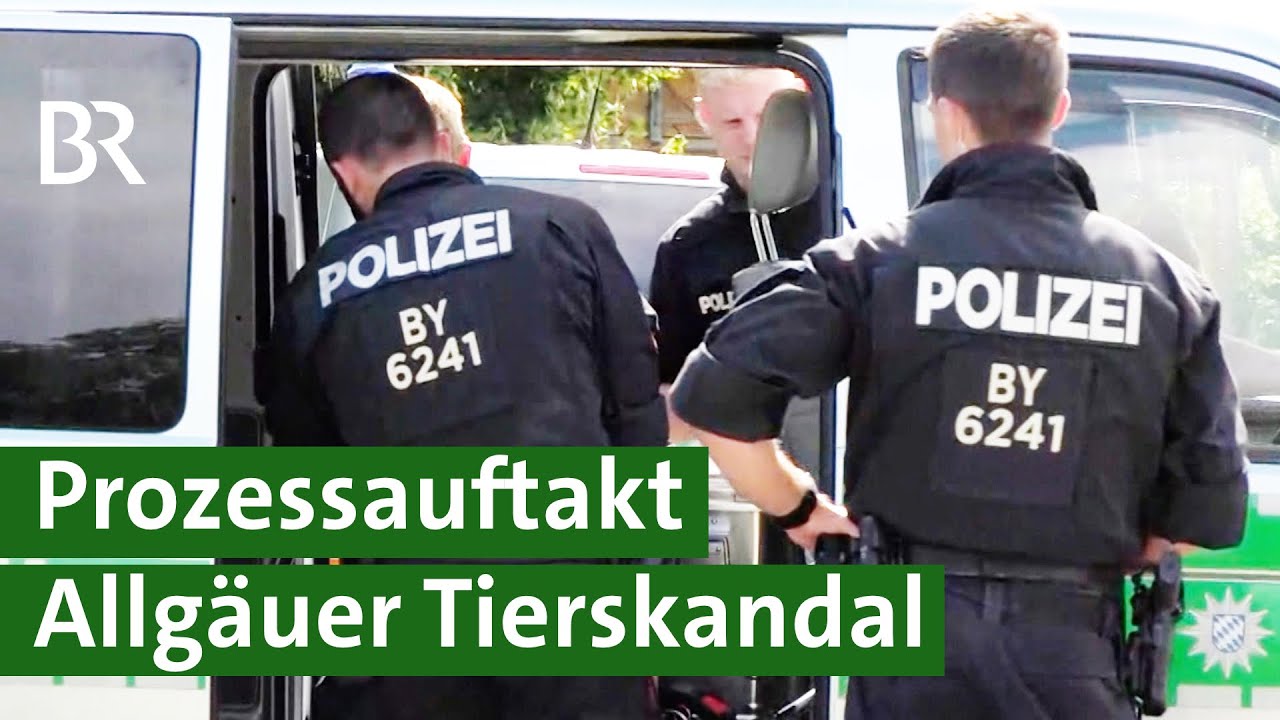 Prozessbeginn: Landwirte aus Bad Grönenbach misshandeln Kühe | Tierschutz | Unser Land | BR