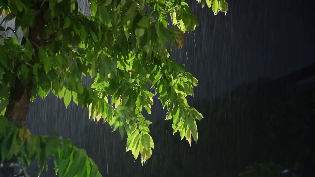 🔴 Heavy Rain and Thunder Sounds for Sleeping - Black Screen | Thunder & Rain for Instant Deep Rest