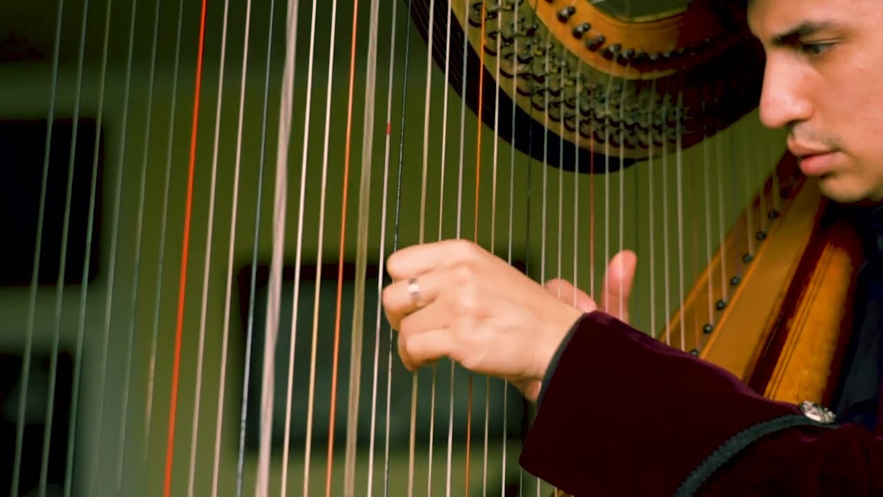 Clair de Lune - Debussy - Harp