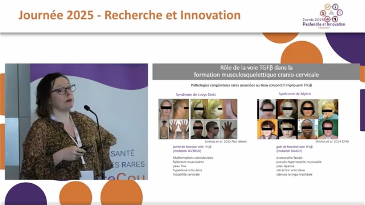Origines embryonnaires de la tête et du cou : incidence pour la compréhension des malformations