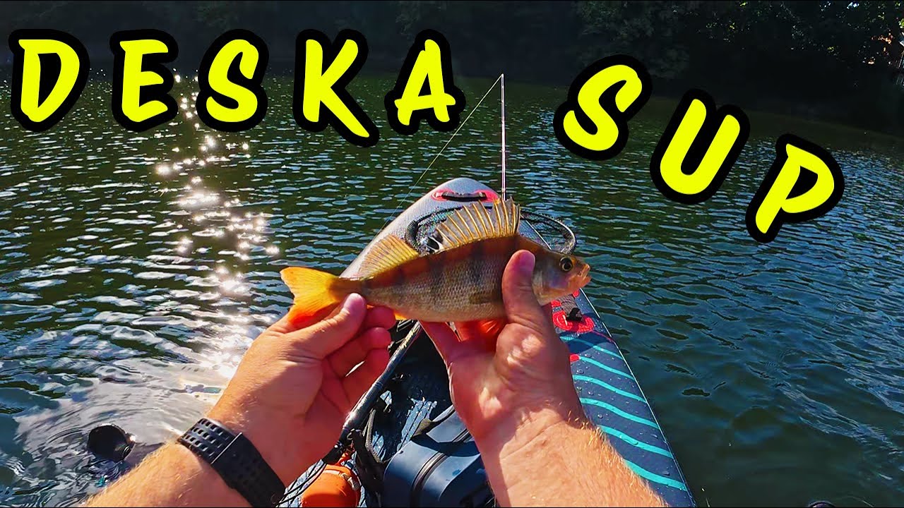 Wakacyjne łowienie z SUP-a i pierwsze okonie :) #wędkarstwo #supfishing #bfsfishing