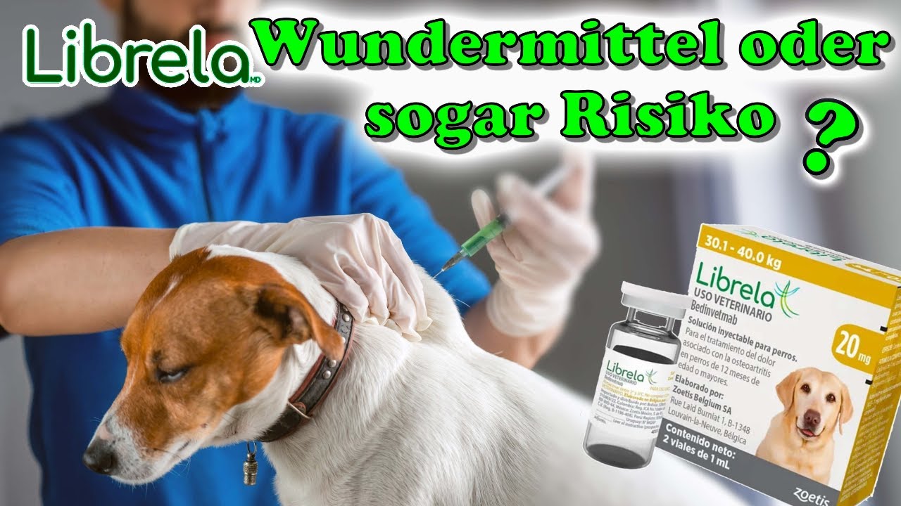 Librela - Ist es ein Wundermittel oder eher ein Risiko für deinen Hund? 🤔 Nebenwirkungen inklusive ?