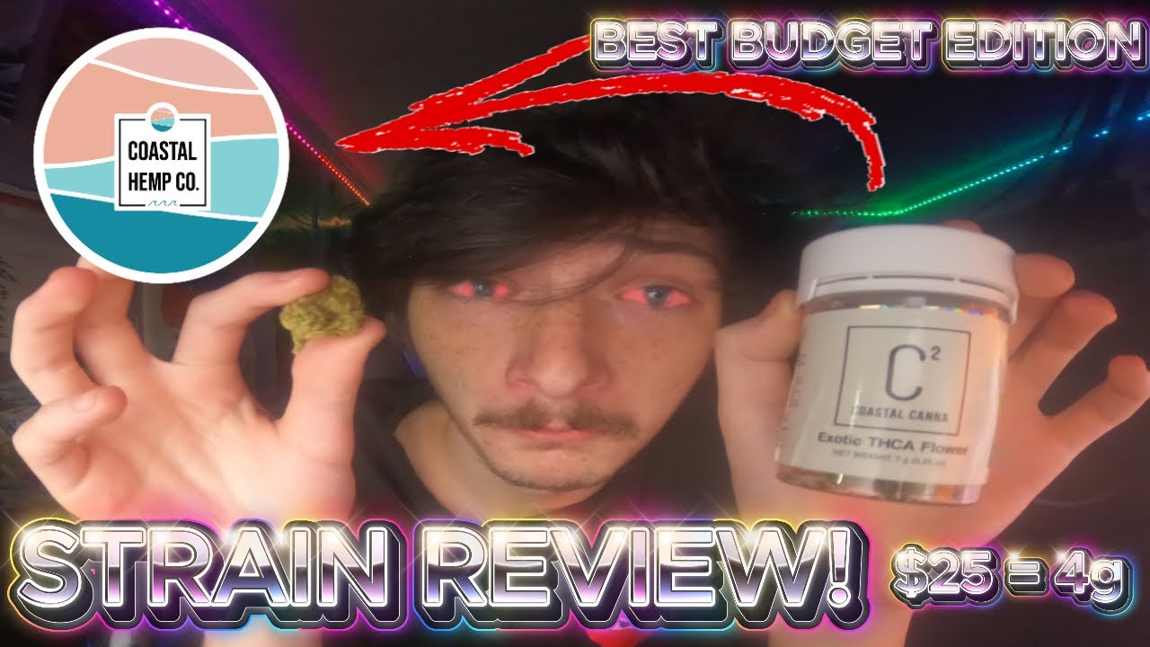 BEST BUDGET STRAIN OF 2025????