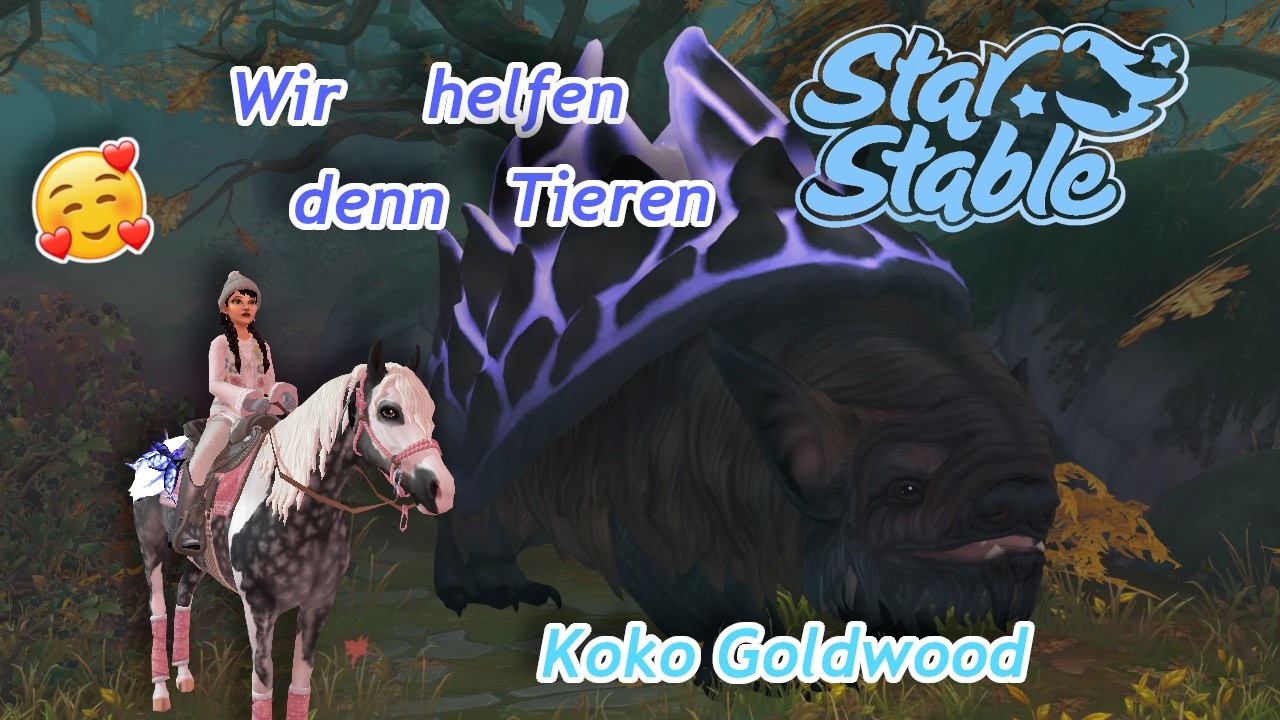 Star Stable 😍❤️Was ist mit den Tieren los?😭❤️