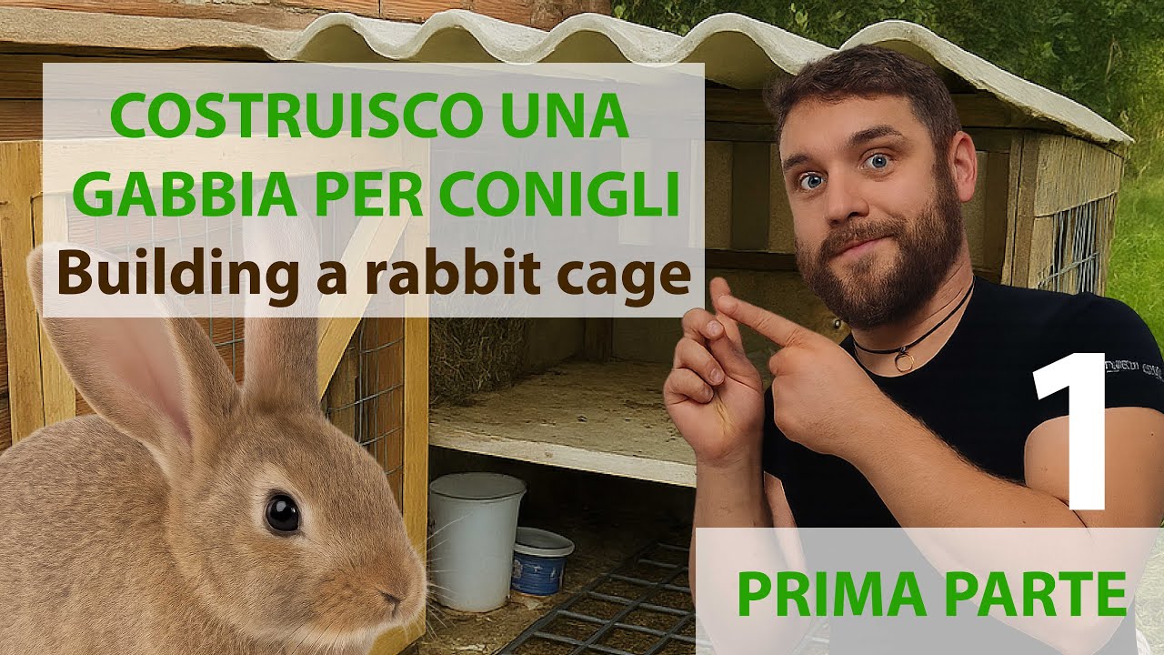 Costruisco una Gabbia per conigli con materiali di recupero - parte 1