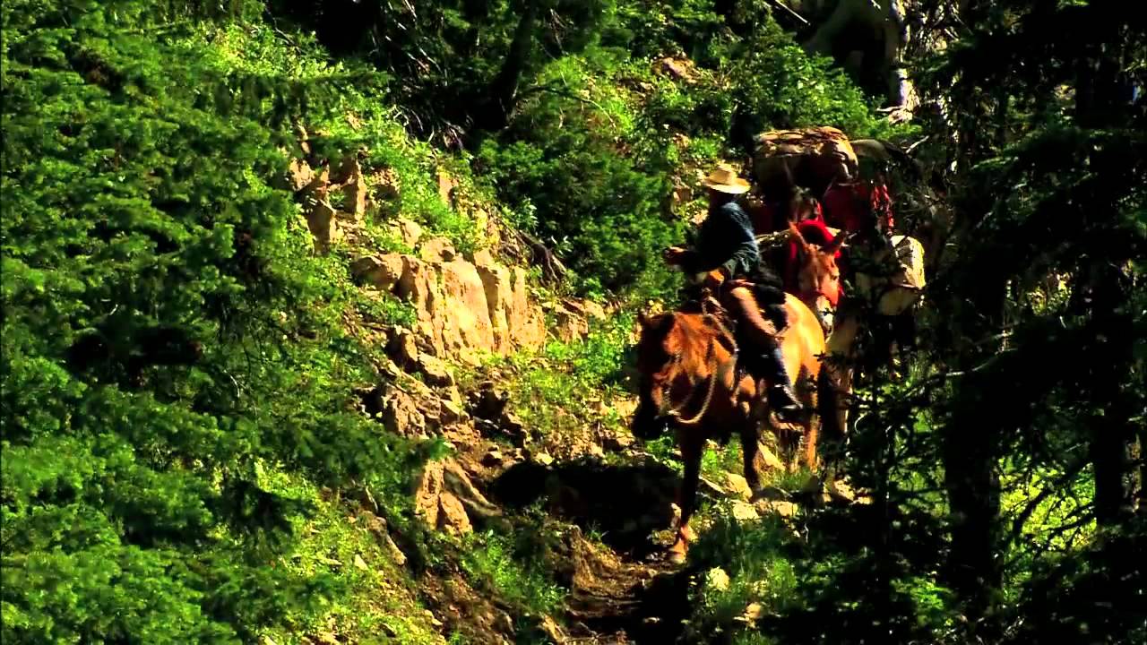 Okanogan-Wenatchee National Forest Restoration Strategy