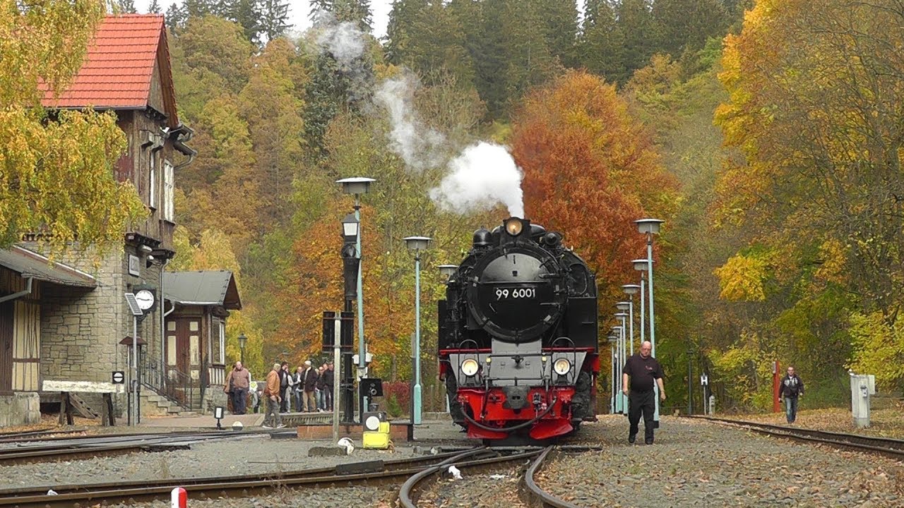 Selketalbahn im Herbst | Dampfloks 99 6001 und 99 234