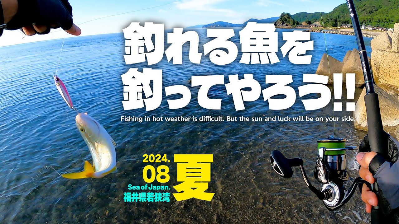 釣れる魚を釣ってやろう！福井県若狭湾で夏の海釣り【ライトショアジギング・エギング・ライトロックフィッシュ・シーバス】