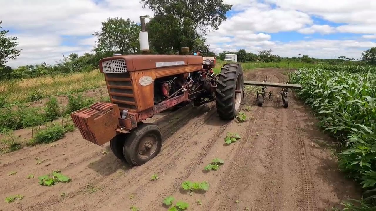 Cultivating Sweet Corn and Pumpkins and a little crop and water update